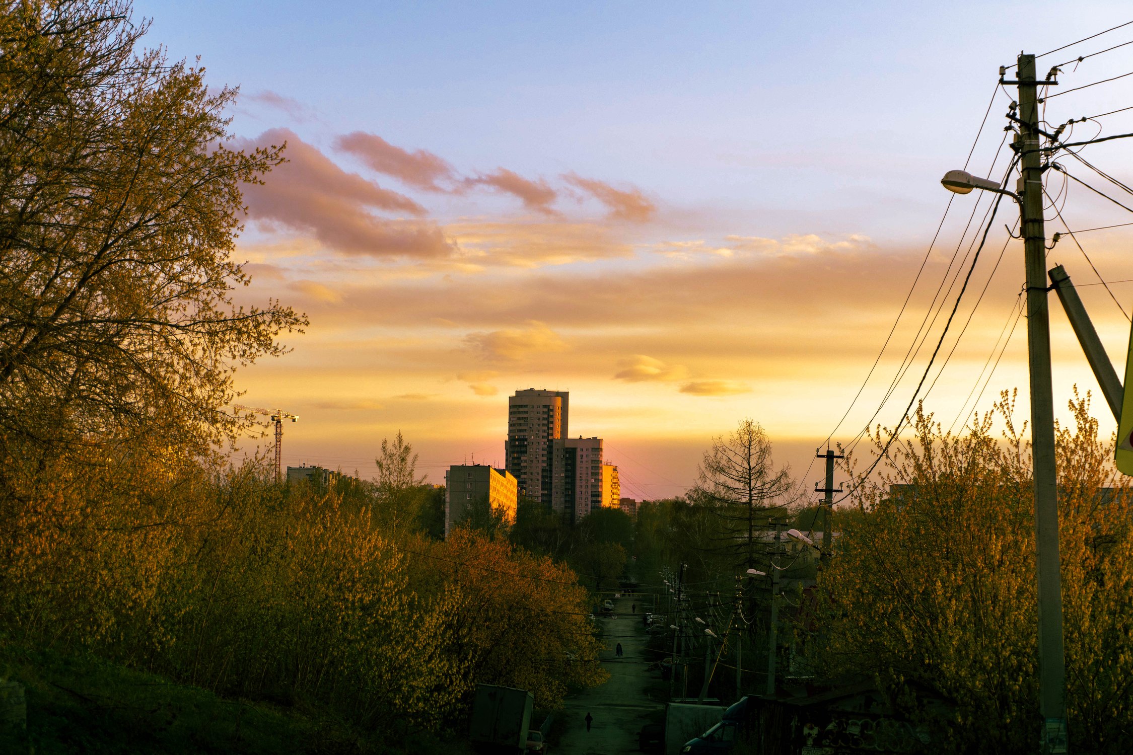 Город посреди леса