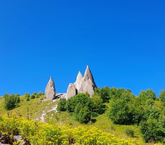 Зубы дракона