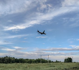 На прогулке