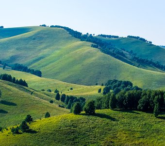 Алтайские просторы