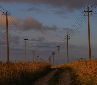 Золотой просёлок