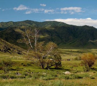Горный Алтай