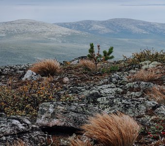 На вершине сопки Ключихинской