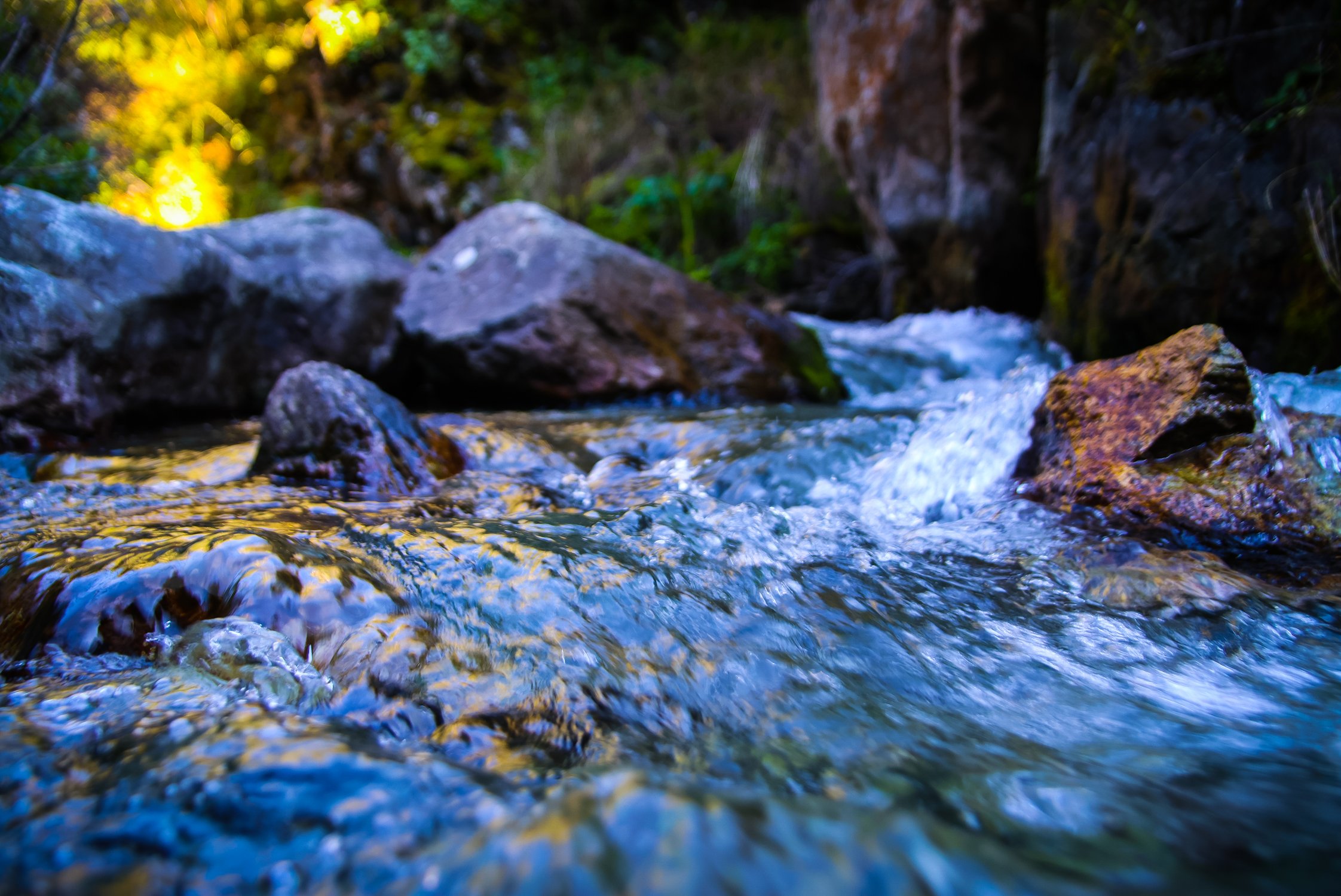 Горные реки Алтая