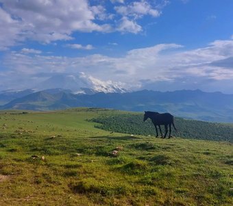 По дороге к Эльбрусу
