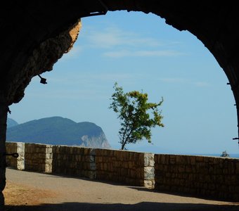 туннель в лето