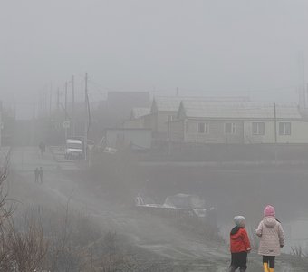 Туман в селе