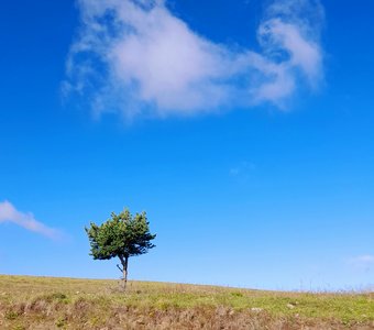 Прекрасное одиночество в пространстве
