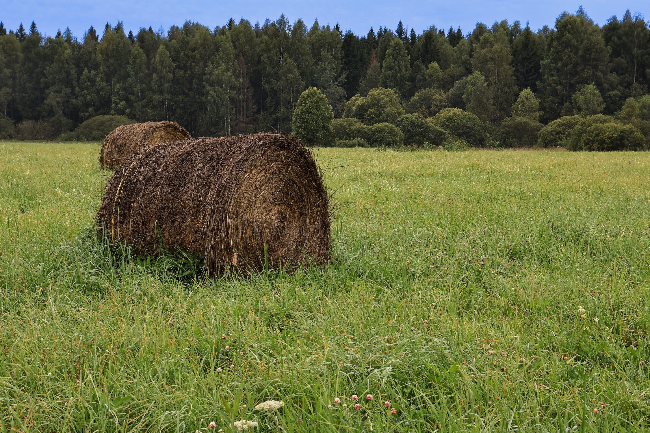 Первое завивание