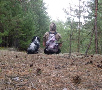 В лесу с собакой