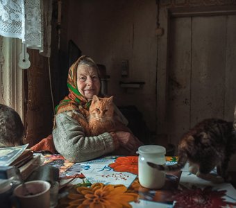 Бабушка и ее коты