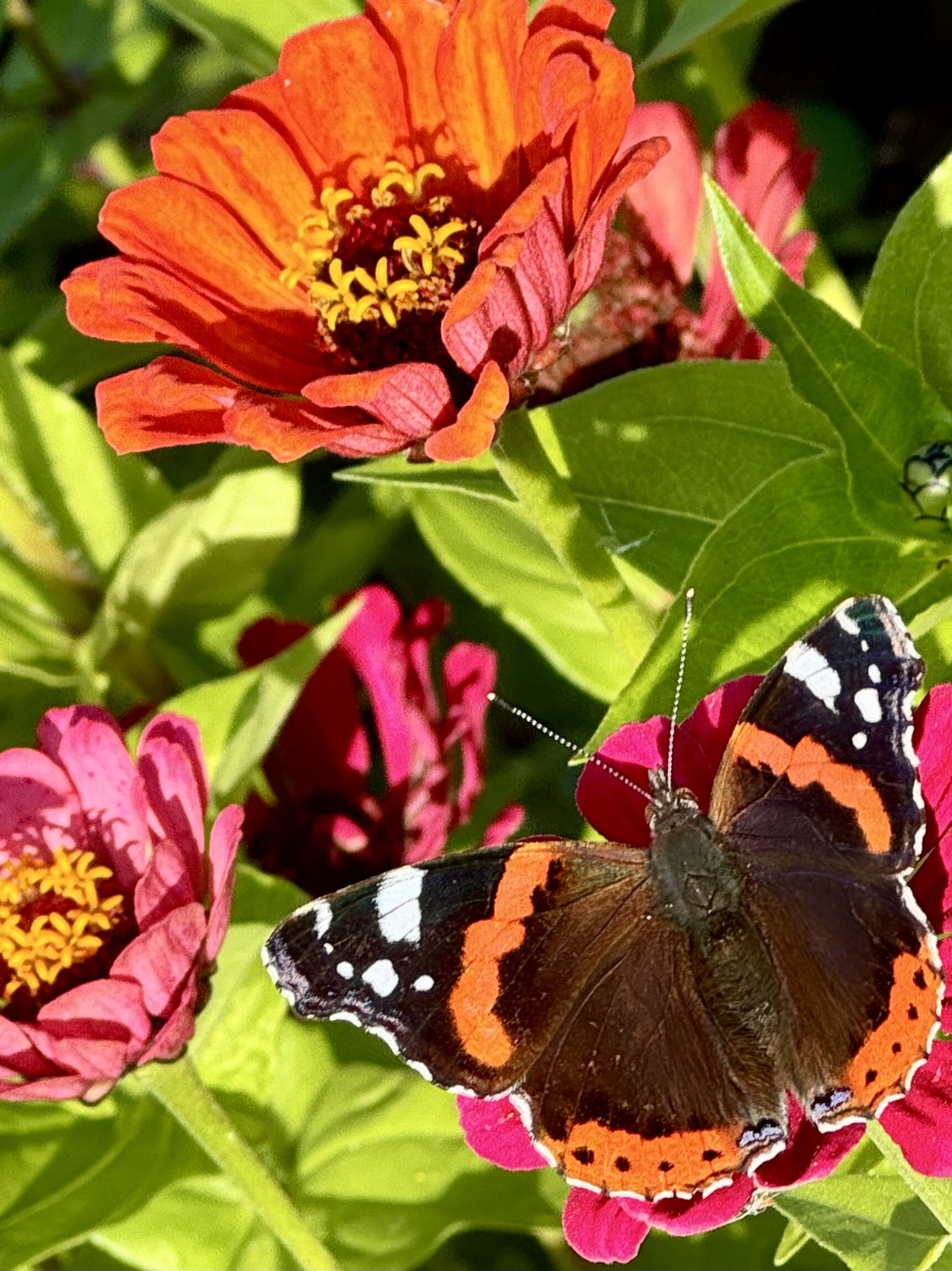 Краски природы