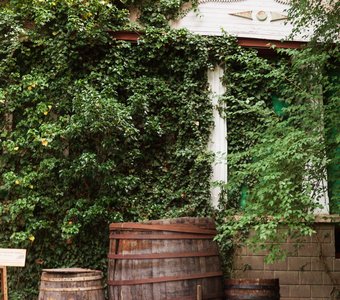 В музее Короленко В.Г.