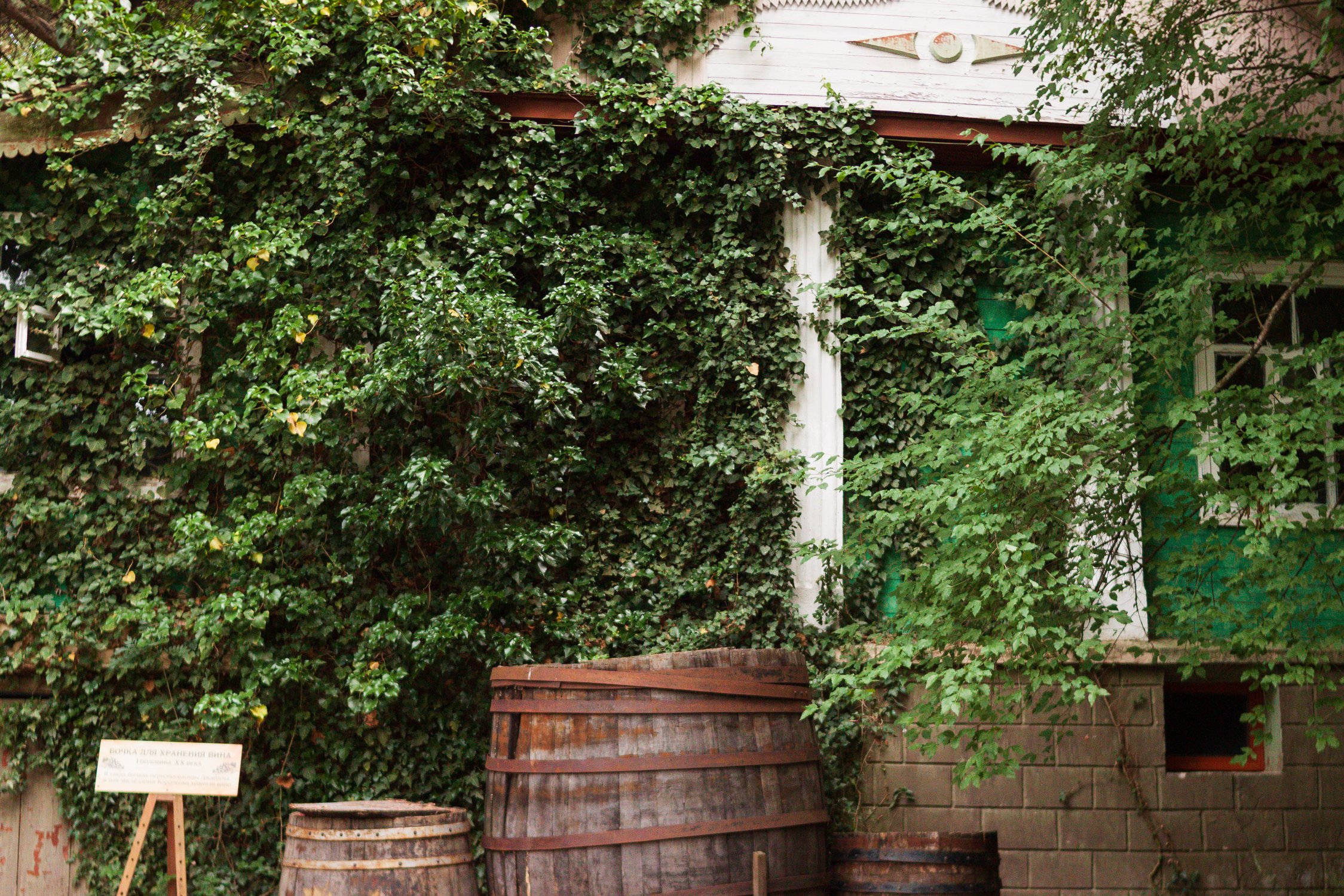 В музее Короленко В.Г.