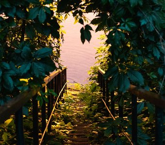 Лестница в лето