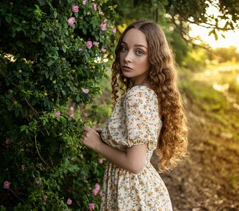 Летний вечер