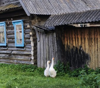 Деревенская парочка