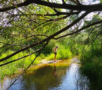 Зеленый мир