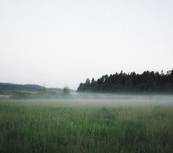 Утро в Карелии. Чувствуй