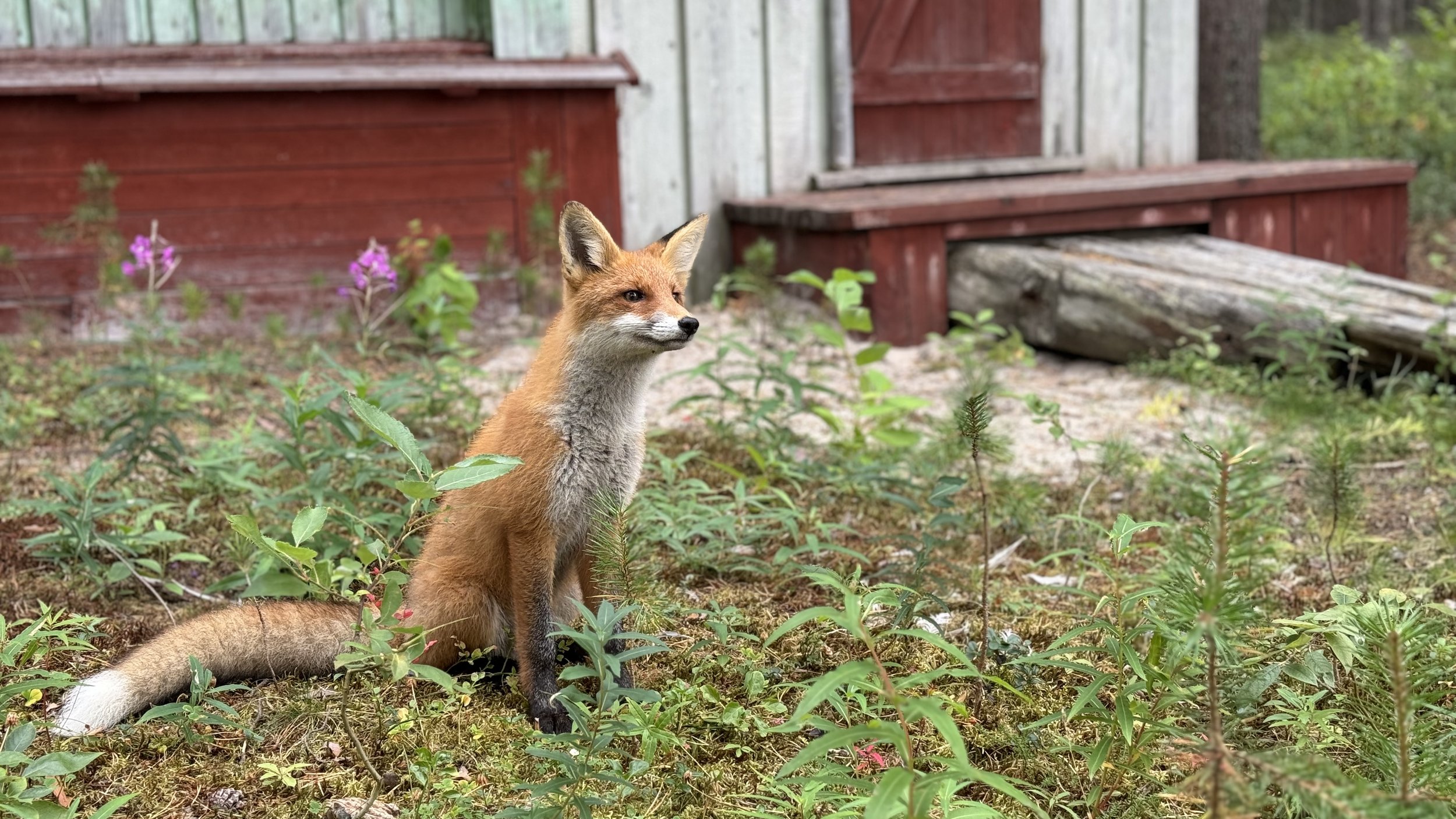 На страже заповедника