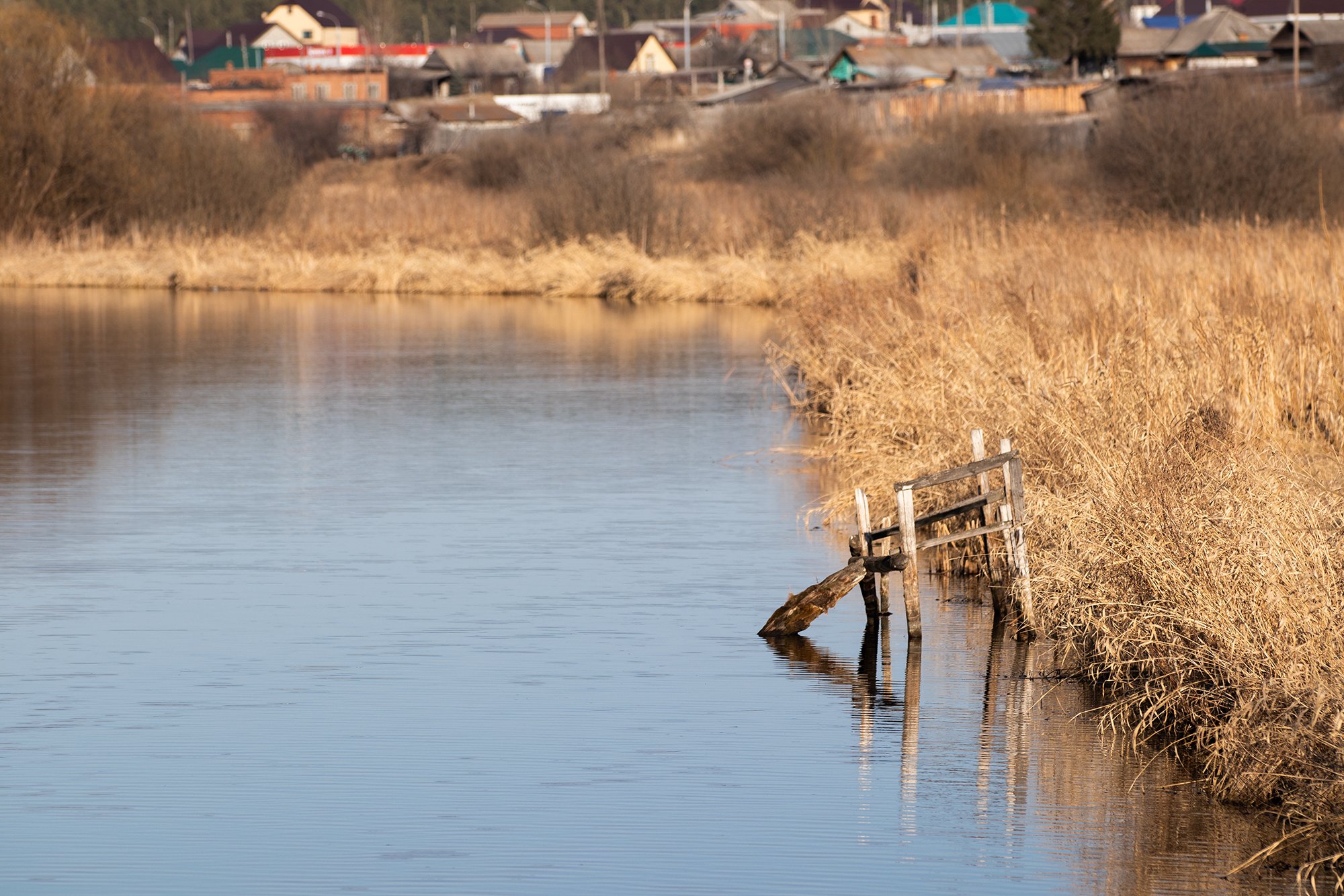 Плотик