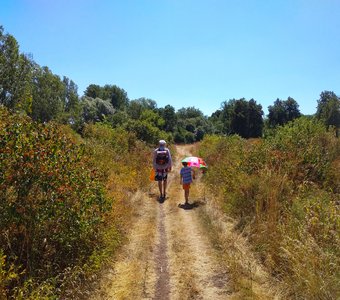 Путешественники