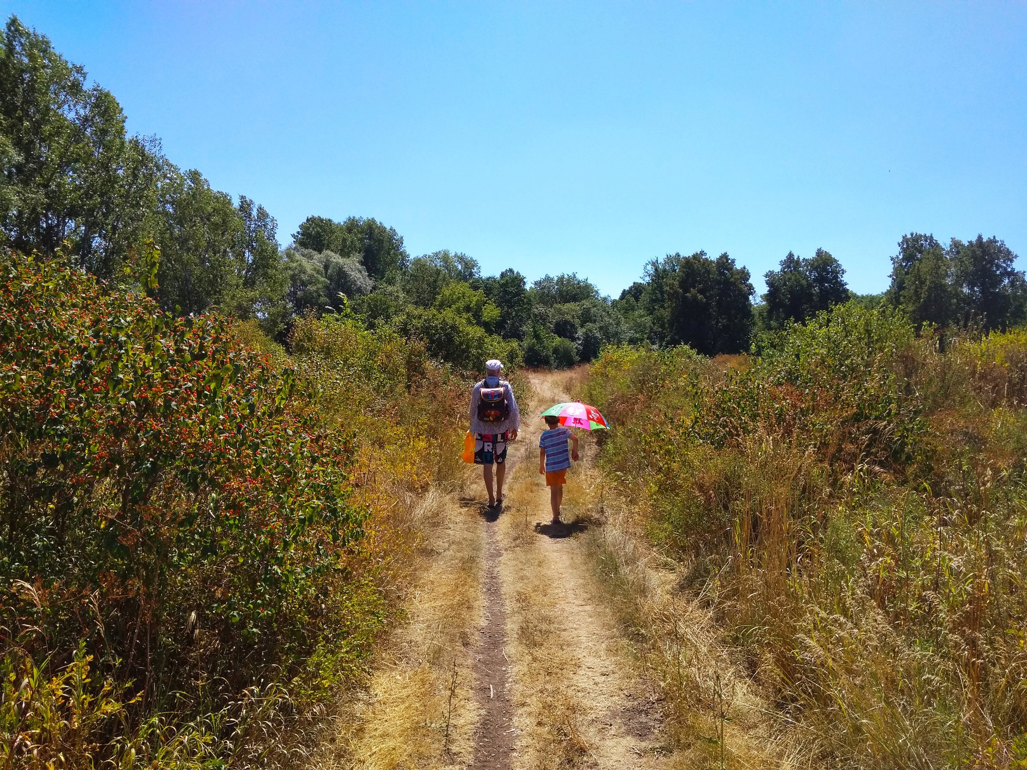 Путешественники