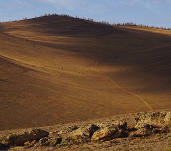 Дорога к Байкалу