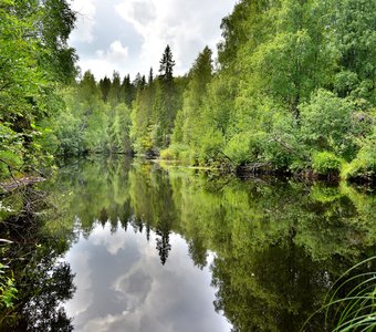 Зеркало реки