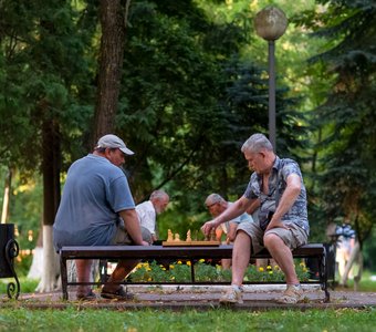 Шахматисты