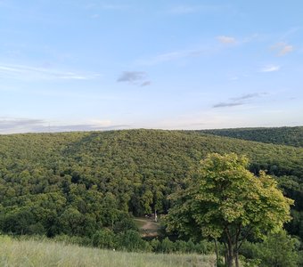 Кумысная поляна,Саратов