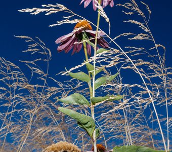 Воображаемый небоскреб