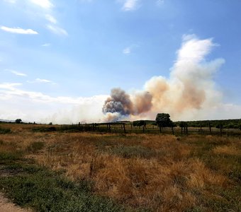 Степь полыхает так, что блекнет Солнце.