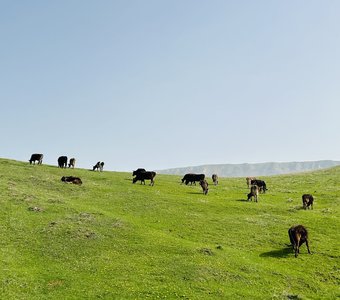 Карачаево-Черкесия Российская Федерация