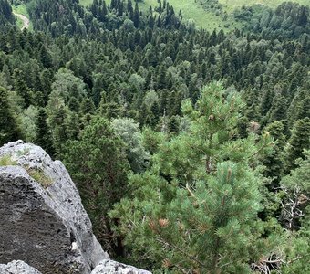 Прекрасное плато Лаго-Наки