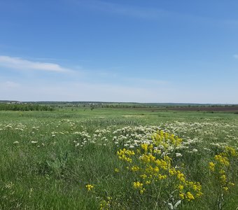 ...Едешь, едешь, —  степь  да небо.