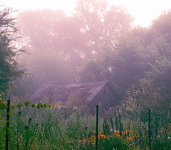 Утро в деревне