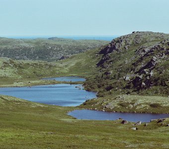 50 оттенков зелени