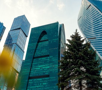 Деловой центр и одуванчик