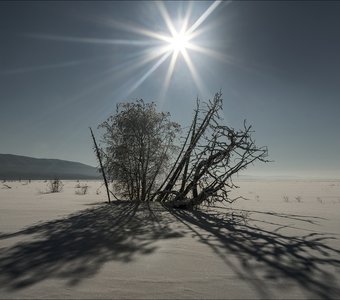 Геометрия красоты