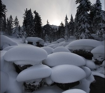 Планета хамар дабан