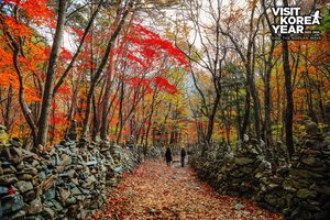 Открываем Южную Корею: в Каннын за кофе, морем и искусством