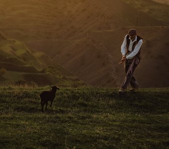 Когда нашел свою овечку