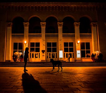 Девочка и бездомная собака