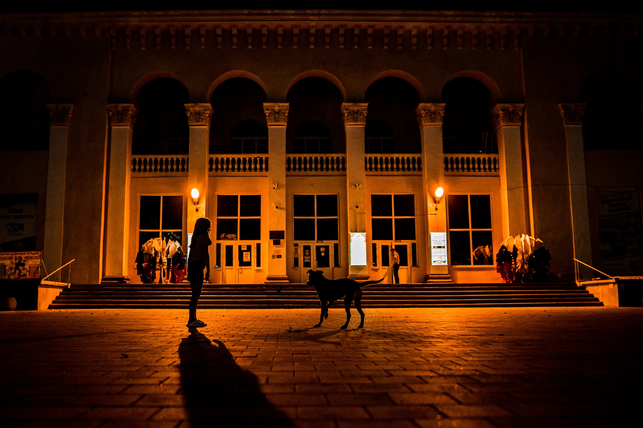 Девочка и бездомная собака