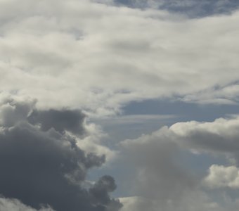 Встреча тьмы и света (фрагмент облака в виде головы собаки)