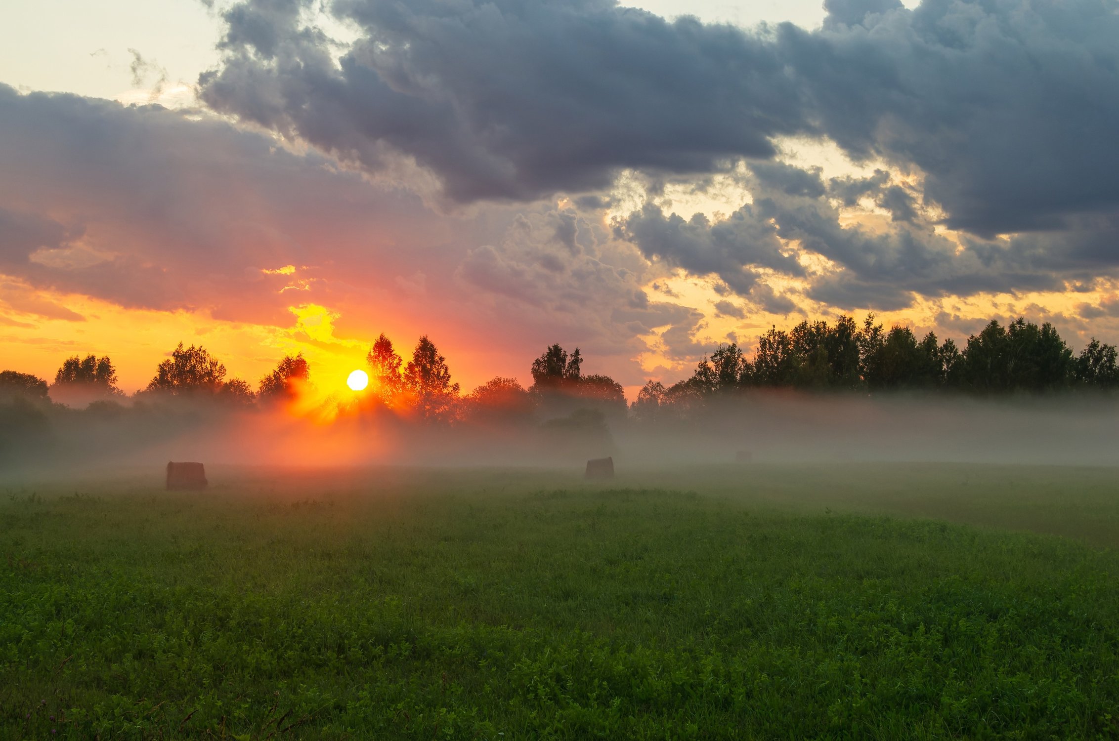 Русское поле туманом укрылось на закате чудесного дня