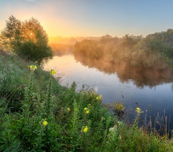 Зарождение нового дня у реки Оредеж.