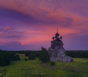 ...Где-то далеко идут грибные дожди