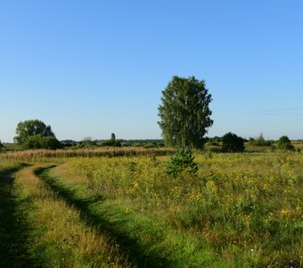 Дорога к храму.